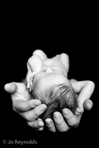Newborn baby in hands - Adelaide baby portraits